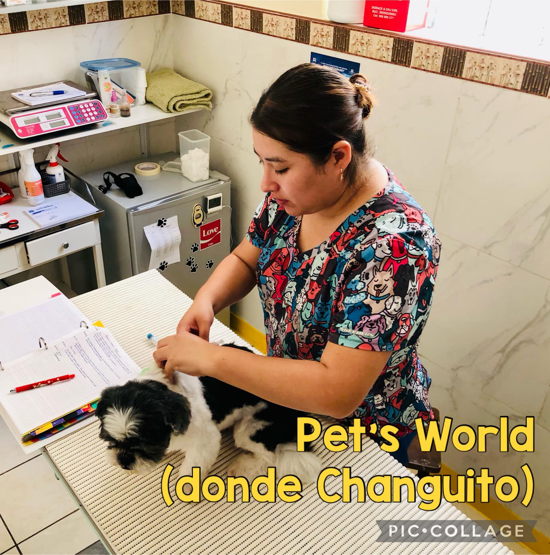 Pet´s World (Donde Changuito)